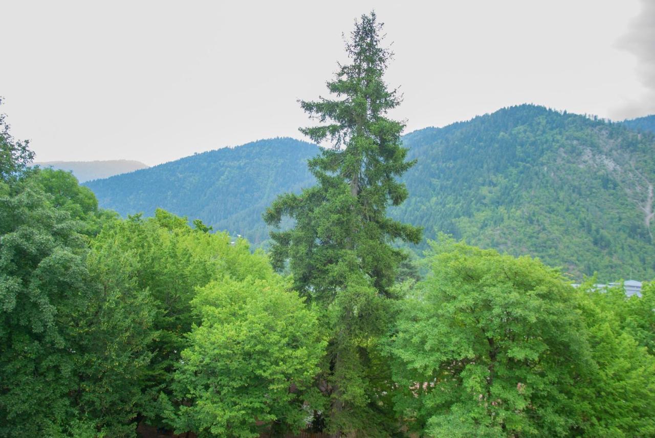 Likani Home Borjomi Exterior photo